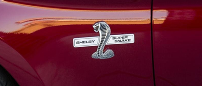 Super Snake